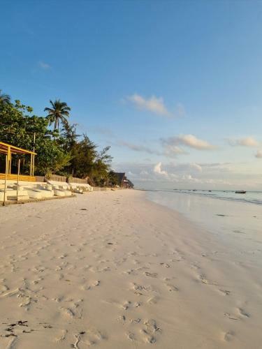 Hostal Havana At Victoria; A Home Away From Home.
