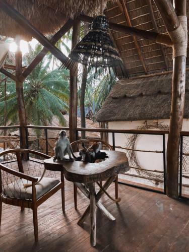 Hotel The Nest Kite Beach Resort