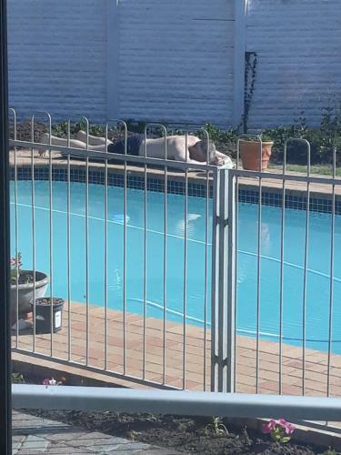 Bed & Breakfast Clearview Crescent Lodge