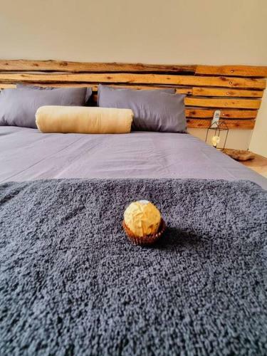 Beautiful And Modern One Bedroom Apartment