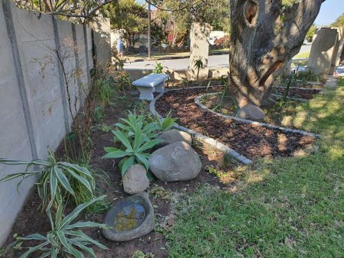 Hostal Coral Tree Boutique Guesthouse