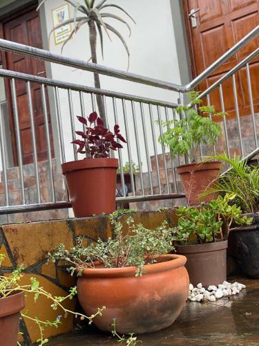 Bed & Breakfast Comfort Zone Bnb