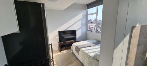 Modern Apartments At Cz Kubs