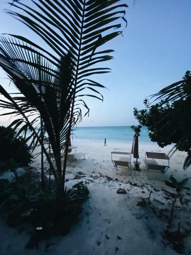 Hotel Crystal Beach Nungwi