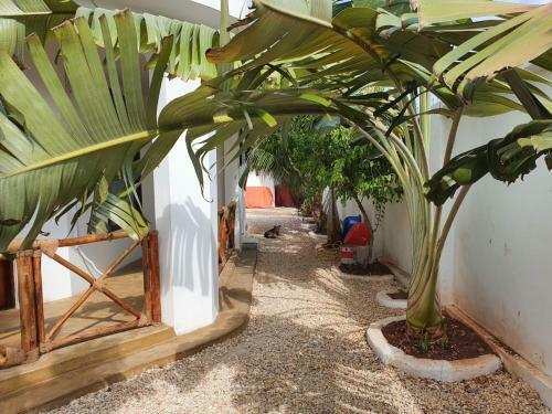 Bed & Breakfast Villa Kirumi