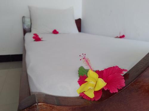 Bed & Breakfast H & H Bungalows