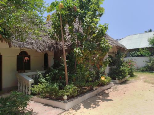 Bed & Breakfast H & H Bungalows