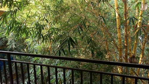 Apartamento Bamboo Homestay