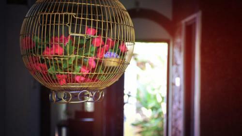 Room In A Goan Homestay