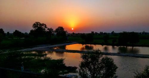 Hostal Ibishouse Farm Stay