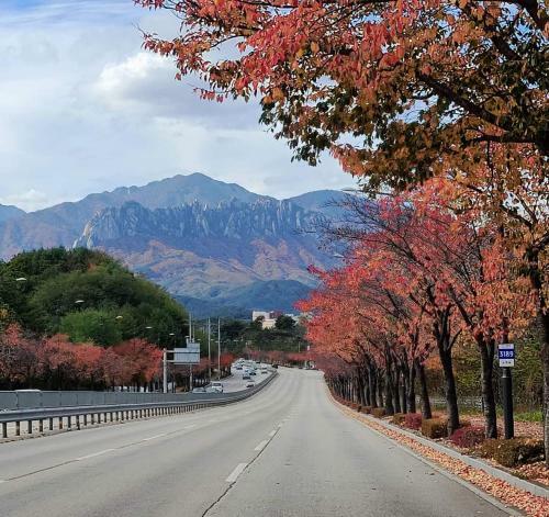 Apartamento Daepo Pension Sokcho