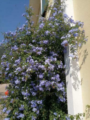 Locanda D'ogliastra,