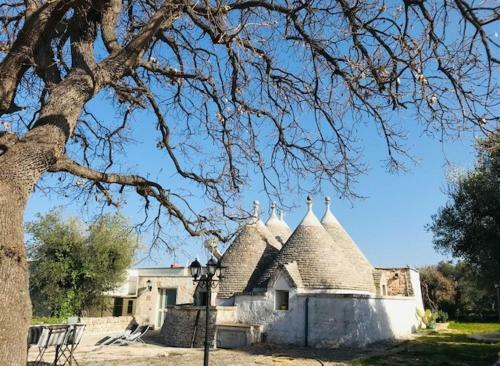 Trulli Di Mercedes