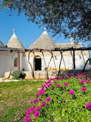 Trulli Di Mercedes