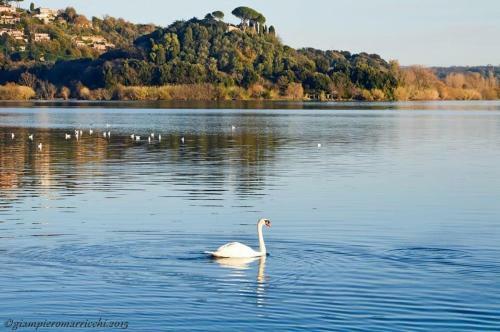 Pep� Apartment -lago Di Bracciano