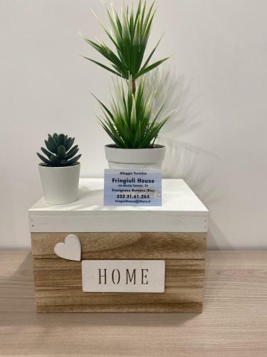 Apartamento Fringiul� House