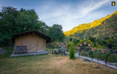 Livingstone Camping Site, Bhimtal