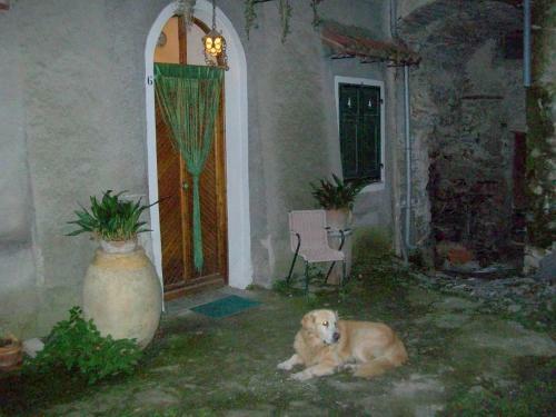 Apartamento Casa Nemo
