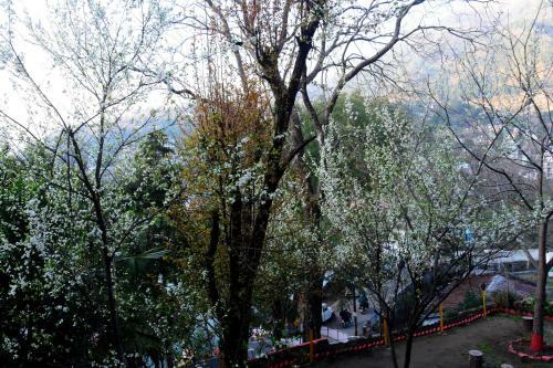 Hotel Lake Retreat Bhimtal, Nainital