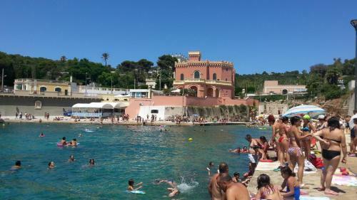 Pajara Di Notevole Bellezza