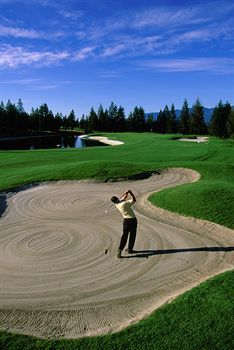 Hotel Bighorn Meadows Resort