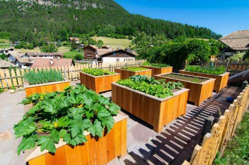 Apartamento Lotschenhof