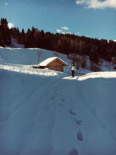 Chalet Al Mont