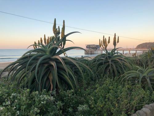 Apartamento Point Boutique Rentals
