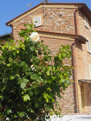 La Casa Di Samarcanda
