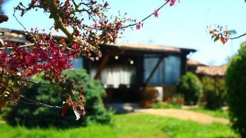 Agroturismo Agriturismo Valle Degli Etruschi