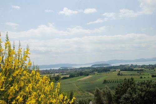 Apartamento Borgo Sanguineto