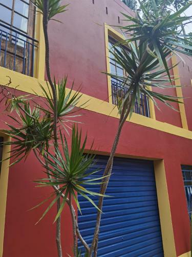 Apartamento Gem Of Manor Drive