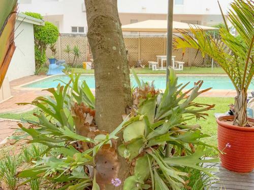 Apartamento Beach Villa 27a & 27b