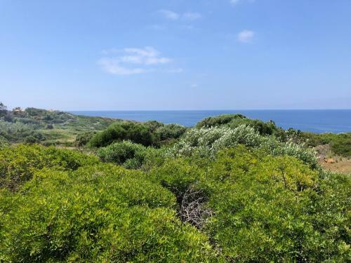Apartamento Ustica Mia