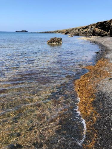 Apartamento Ustica Mia