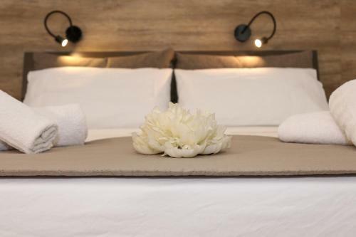 Hostal Il Sorriso Affittacamere/rooms