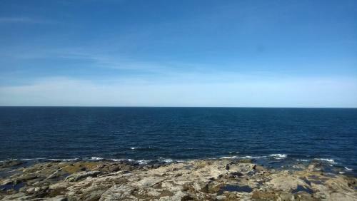 Hotel Kylm�pihlaja Lighthouse