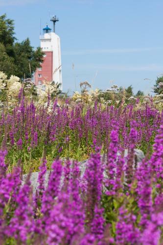 Hotel Kylm�pihlaja Lighthouse