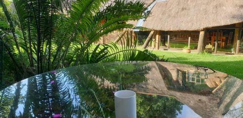 Apartamento The Lapa