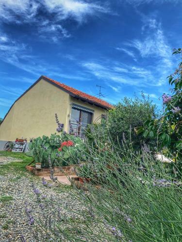 Hostal Ca' Degli Ovi