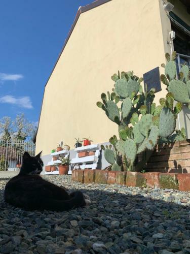 Hostal Ca' Degli Ovi
