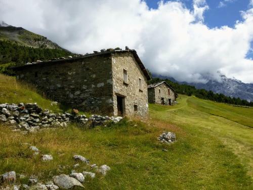 Apartamento Casa Zebrusius - Zebrusius's App