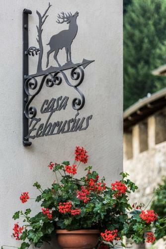 Apartamento Casa Zebrusius - Zebrusius's App