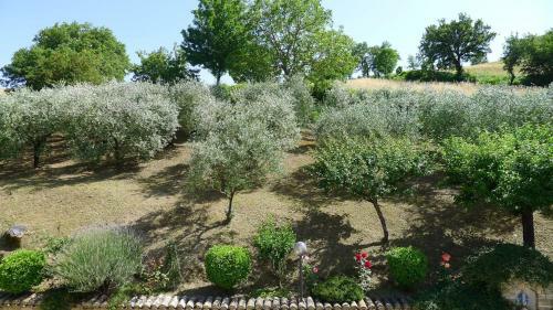 Agroturismo Agriturismo Collemaggio