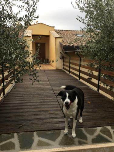 Casa Vacanze Le More