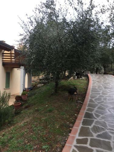 Casa Vacanze Le More