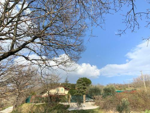 Casa Vacanze Le More