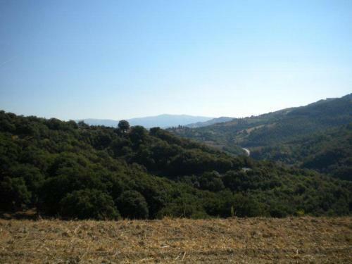Agroturismo Agriturismo Il Melo