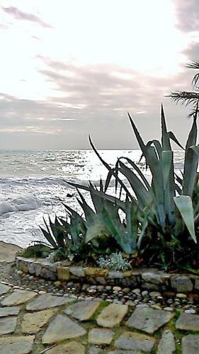 Apartamento Trilo Sul Mare Bordighera