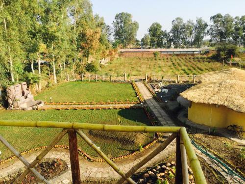 Zorba Farms